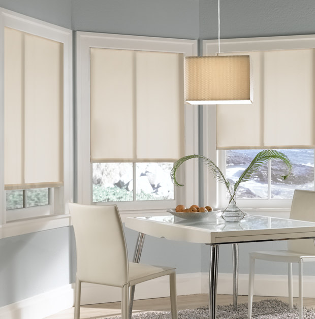 Roller shades in Cincinnati