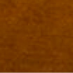 option-407-1_250