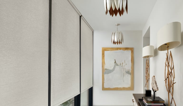 Roller shades are durable window treatments and built to withstand Midwest climates. Roller shades covering a large foyer window.